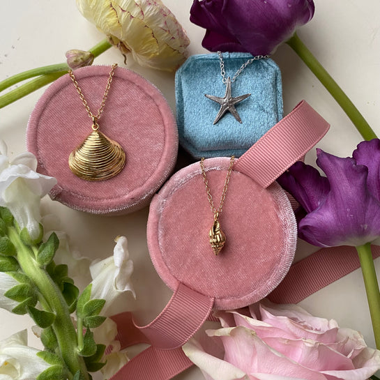 Gift ideas under £50