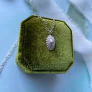 Limpet Shell Necklace