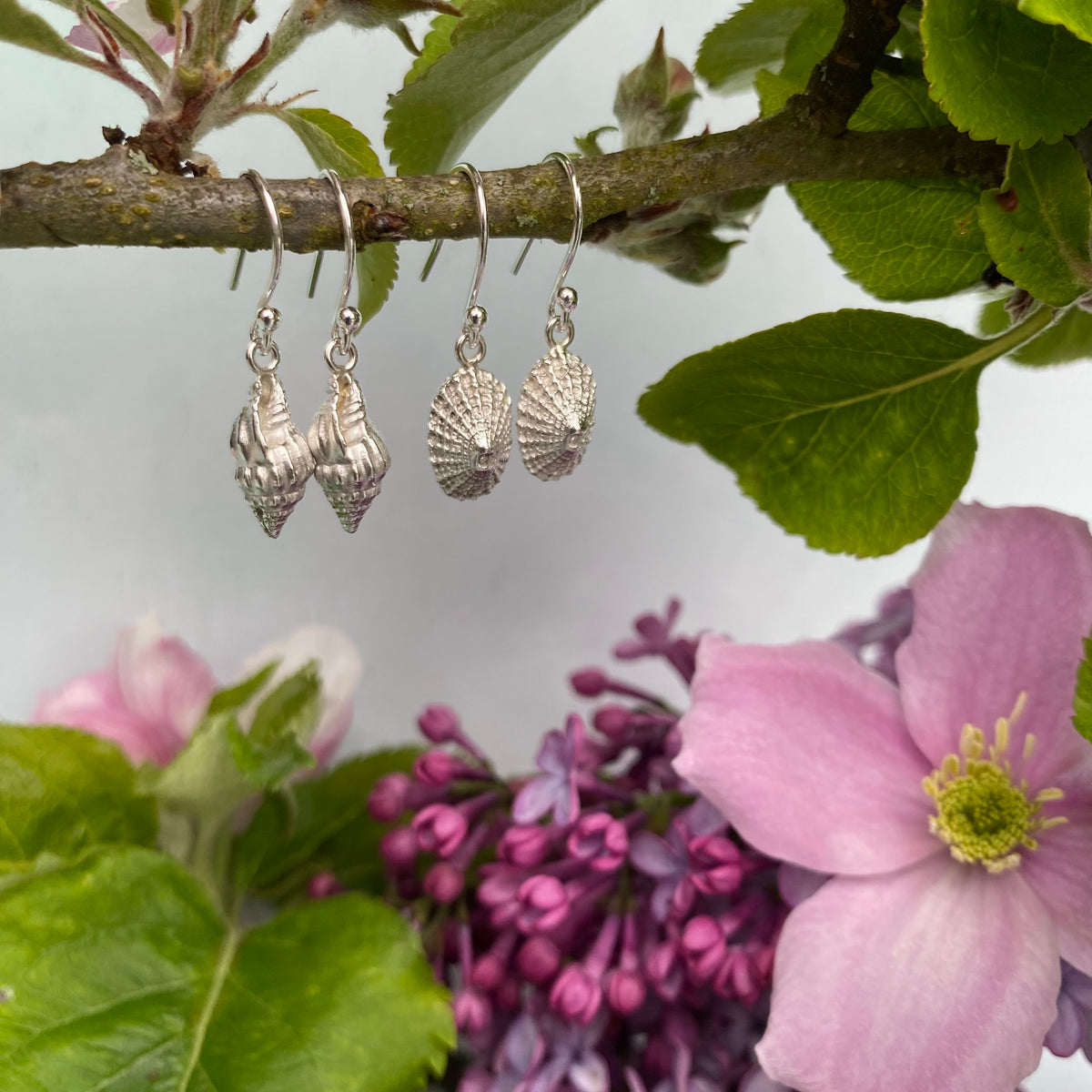Limpet Shell Drop Earrings