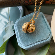 Conker and Shell Necklace