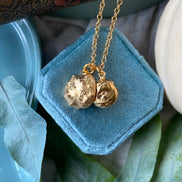 Conker and Shell Necklace