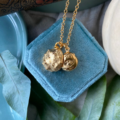 Conker and Shell Necklace