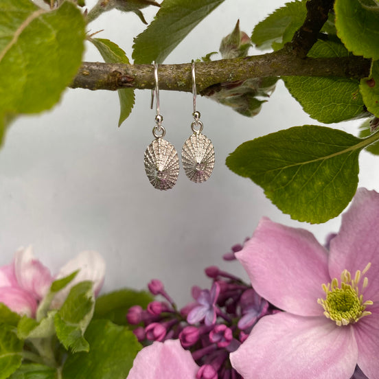 Limpet Shell Drop Earrings