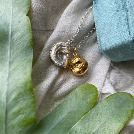 Conker and Shell Necklace