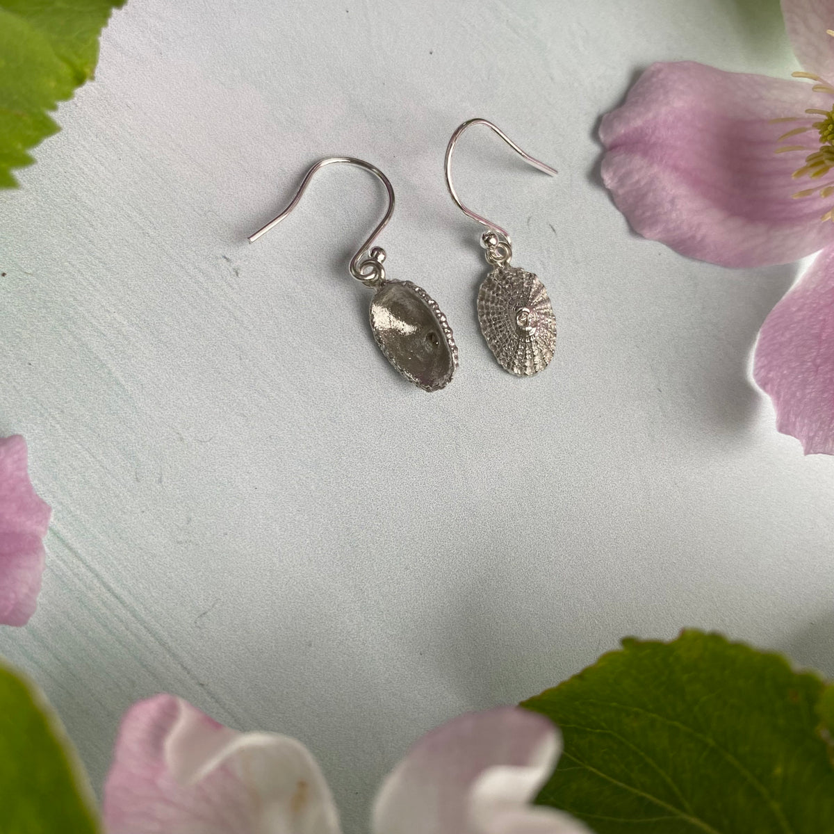 Limpet Shell Drop Earrings