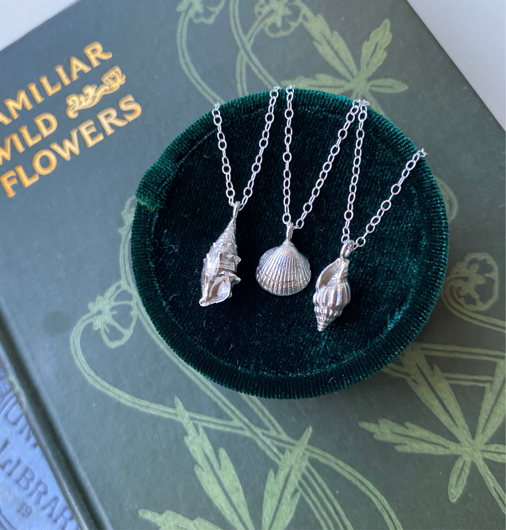 Limpet Shell Necklace – Hannah Kyriakou Design