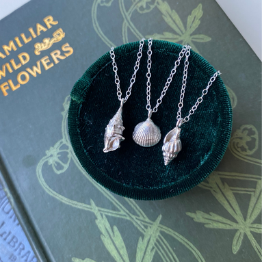 Limpet Shell Necklace