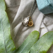Conker and Shell Necklace