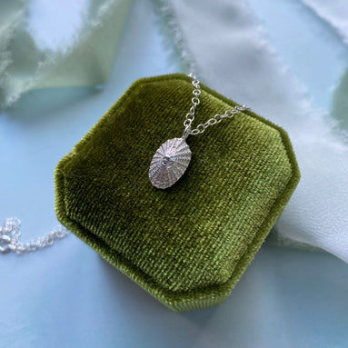 Limpet Shell Necklace