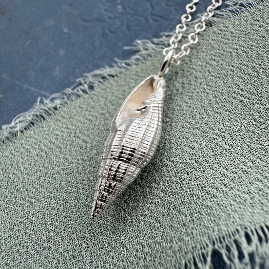 Auger Shell Necklace