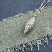Auger Shell Necklace
