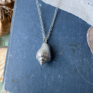 Conch Shell Necklace