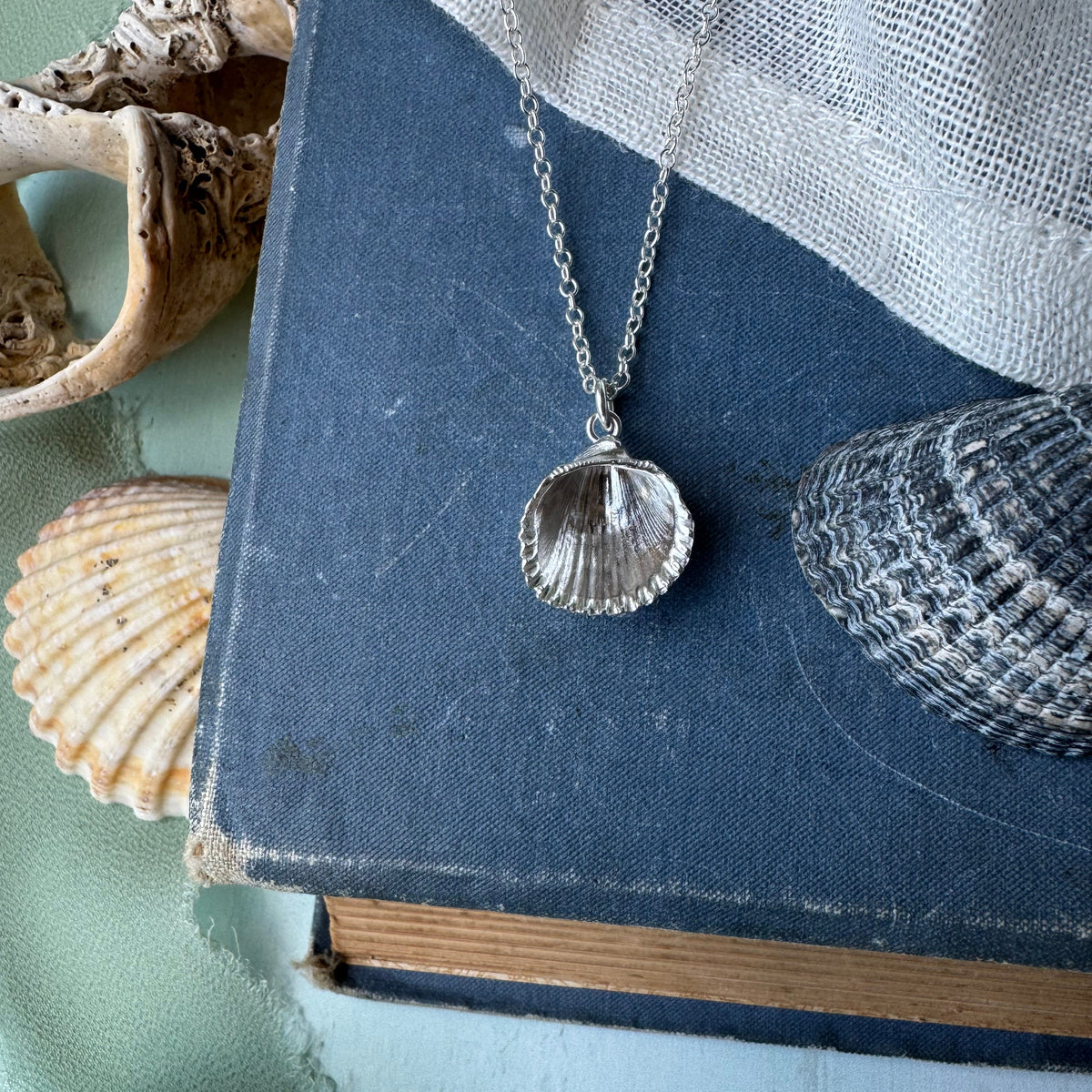 Cockle Shell Necklace