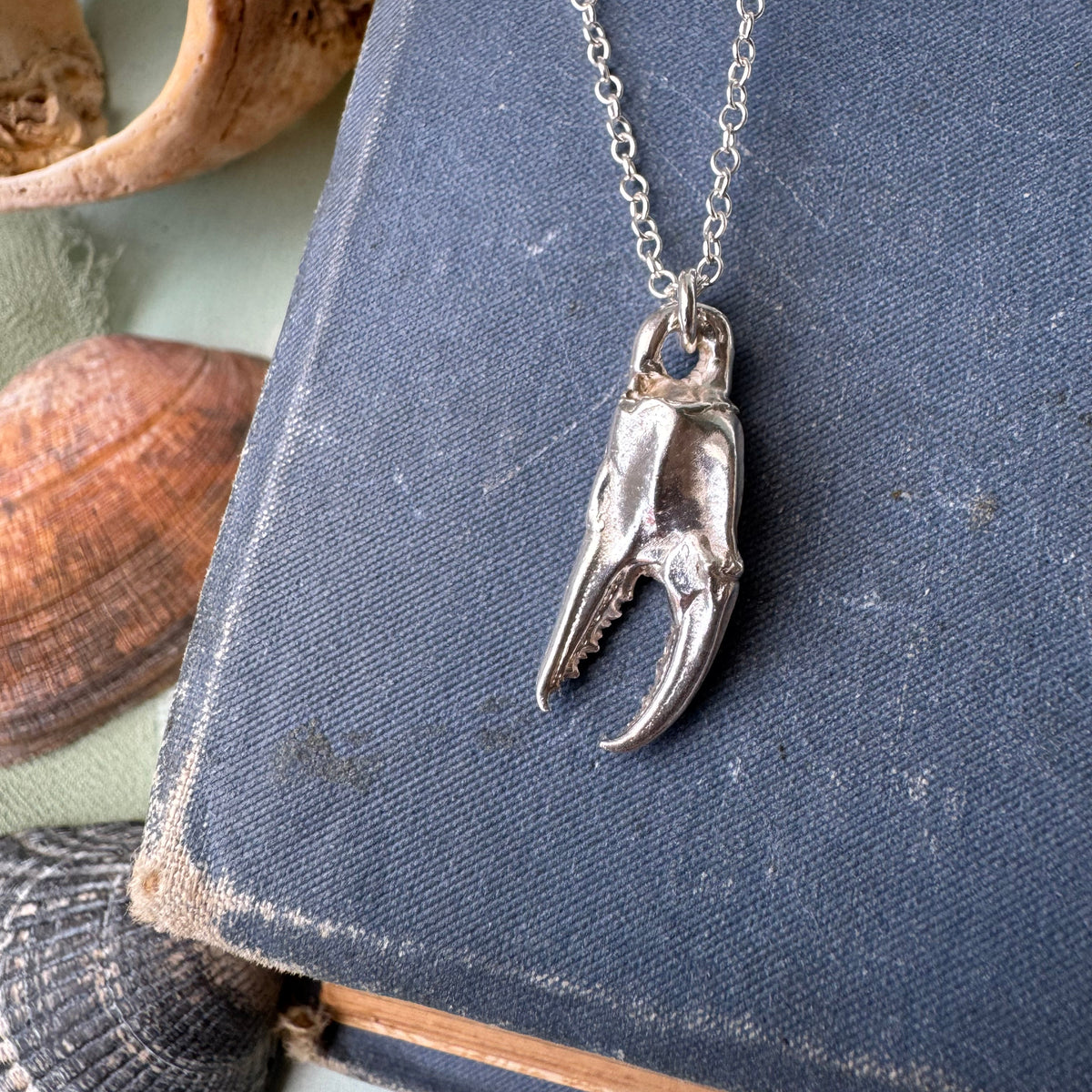 Crab Claw Necklace