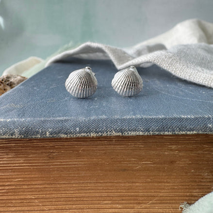 Cockle Shell Stud Earrings
