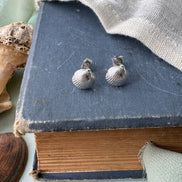 Cockle Shell Stud Earrings