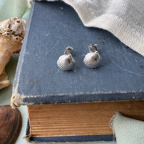 Cockle Shell Stud Earrings