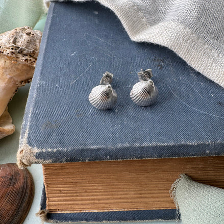 Cockle Shell Stud Earrings