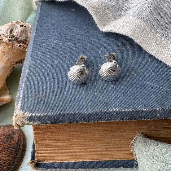 Cockle Shell Stud Earrings
