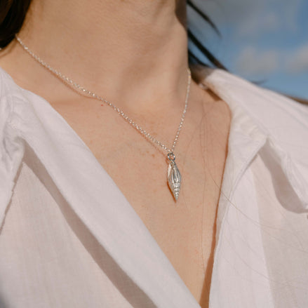 Auger Shell Necklace
