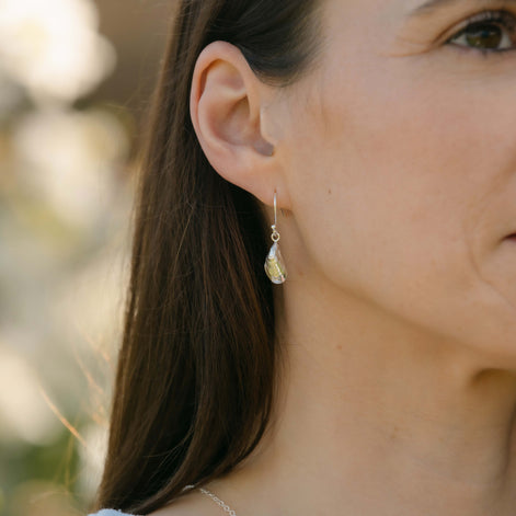 Mussel Shell Earrings