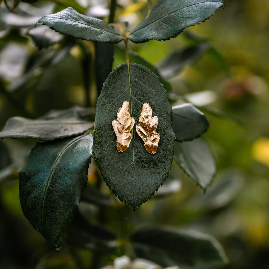 Gold oak leaf earrings on a green leaf with a blurred natural background