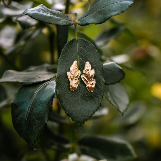 Gold oak leaf earrings on a green leaf with a blurred natural background