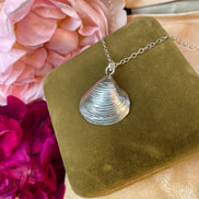 Venus Shell Necklace