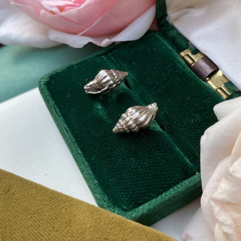 Spiral Shell Stud Earrings