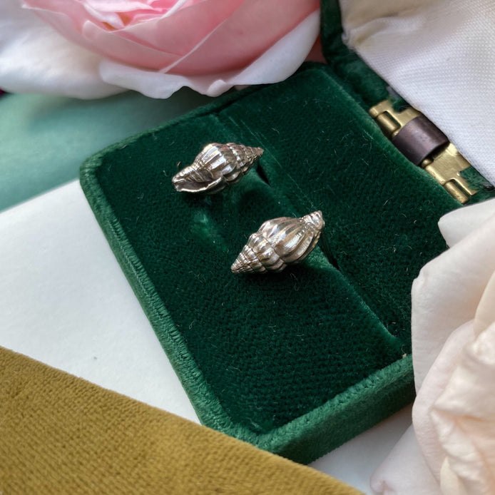 Spiral Shell Stud Earrings