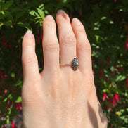 Sterling Silver Limpet Shell Ring