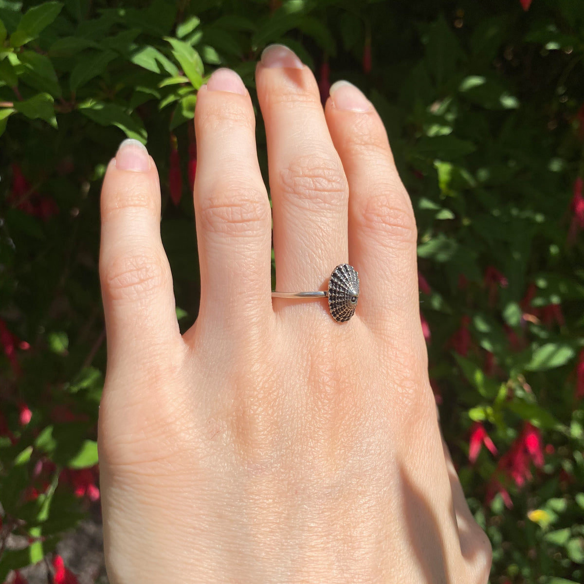 Sterling Silver Limpet Shell Ring