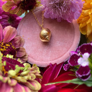 Periwinkle Shell Necklace