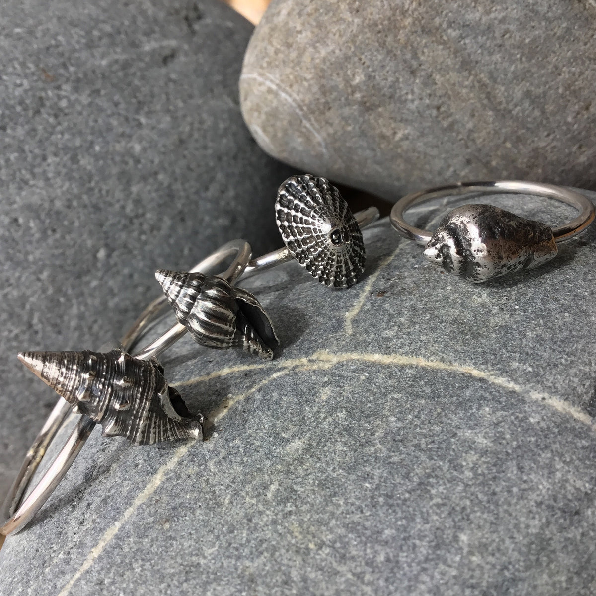 Sterling Silver Limpet Shell Ring