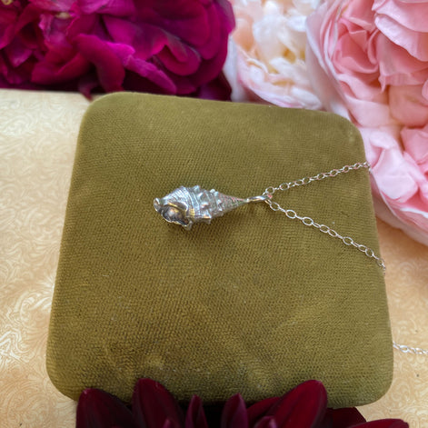 Cone Shell Necklace