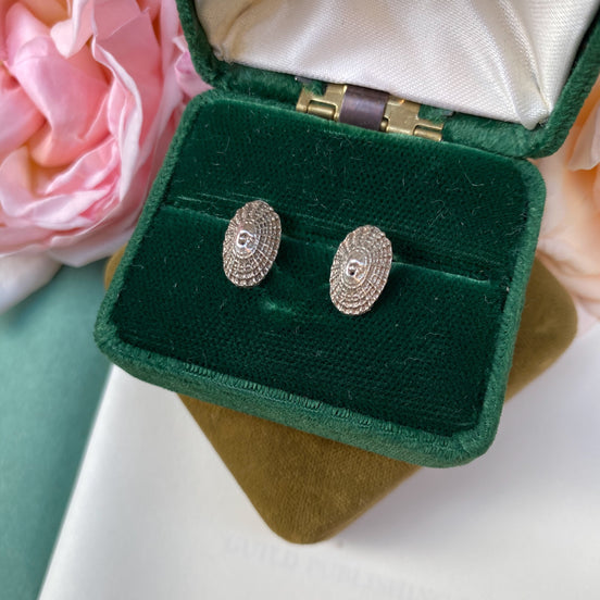 Limpet Shell Stud Earrings