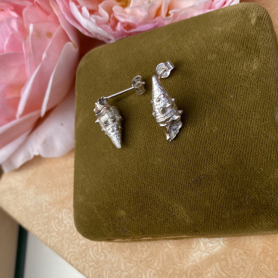 Cone Shell Stud Earrings