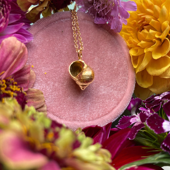 Periwinkle Shell Necklace
