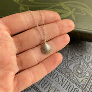 Small Cockle Shell Necklace