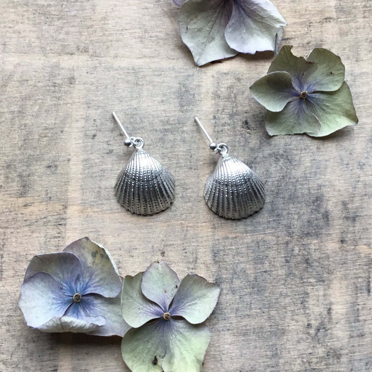 Cockle Shell Drop Earrings