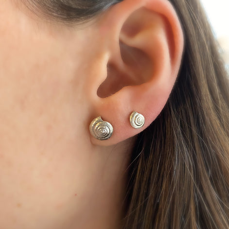 Midi Shell Stud Earrings