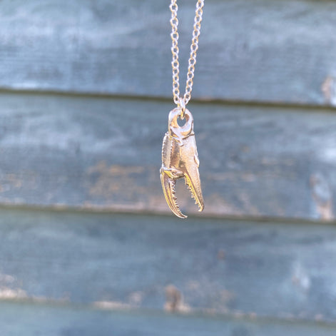Crab Claw Necklace