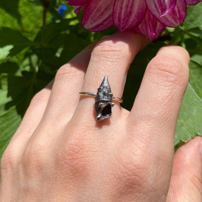 Cone Shell Ring