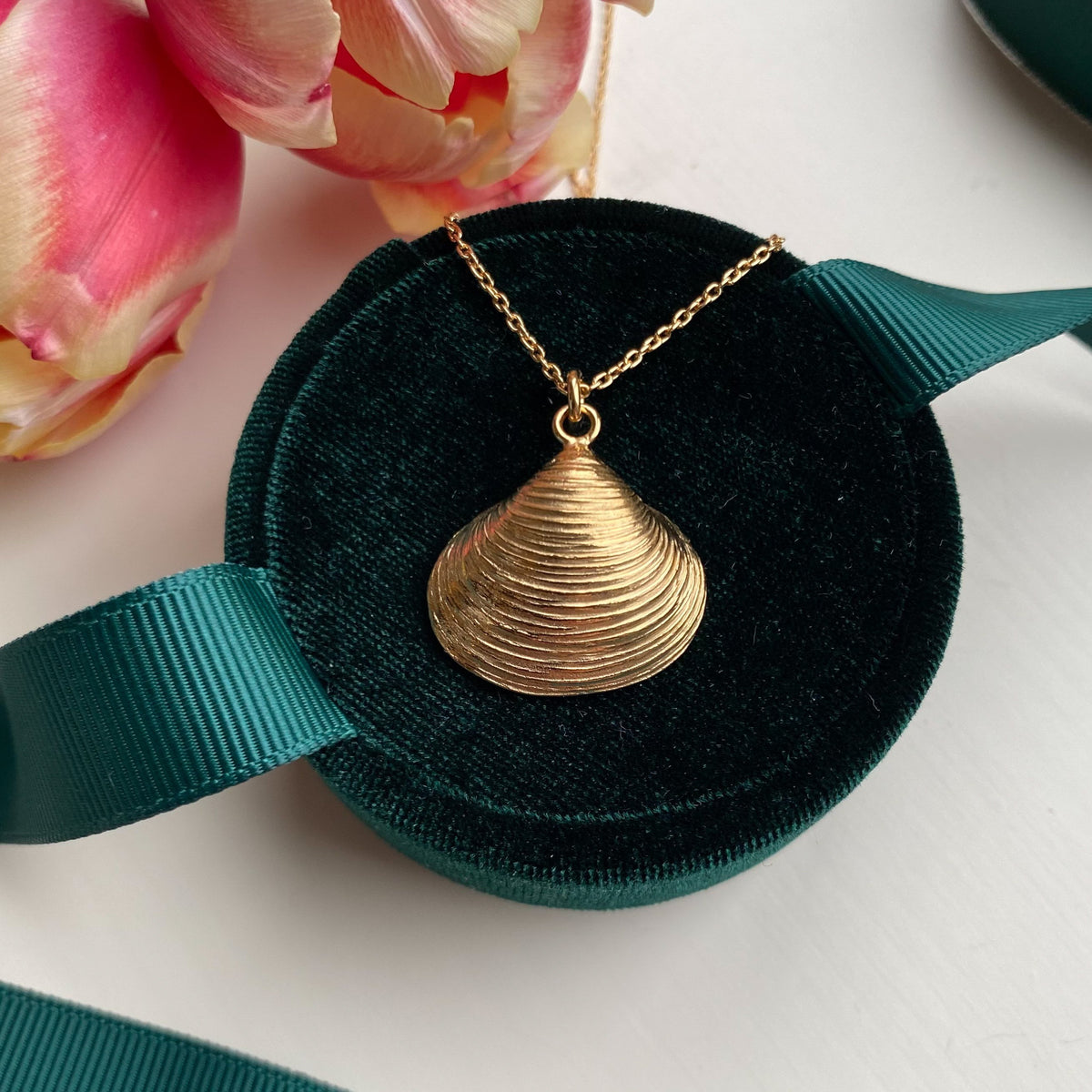 Venus Shell Necklace