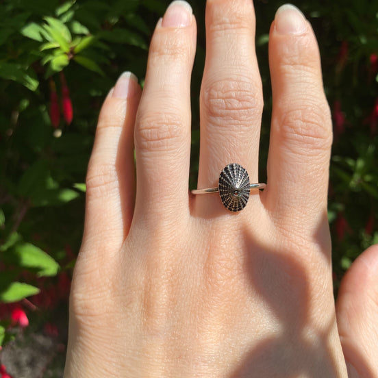 Sterling Silver Limpet Shell Ring