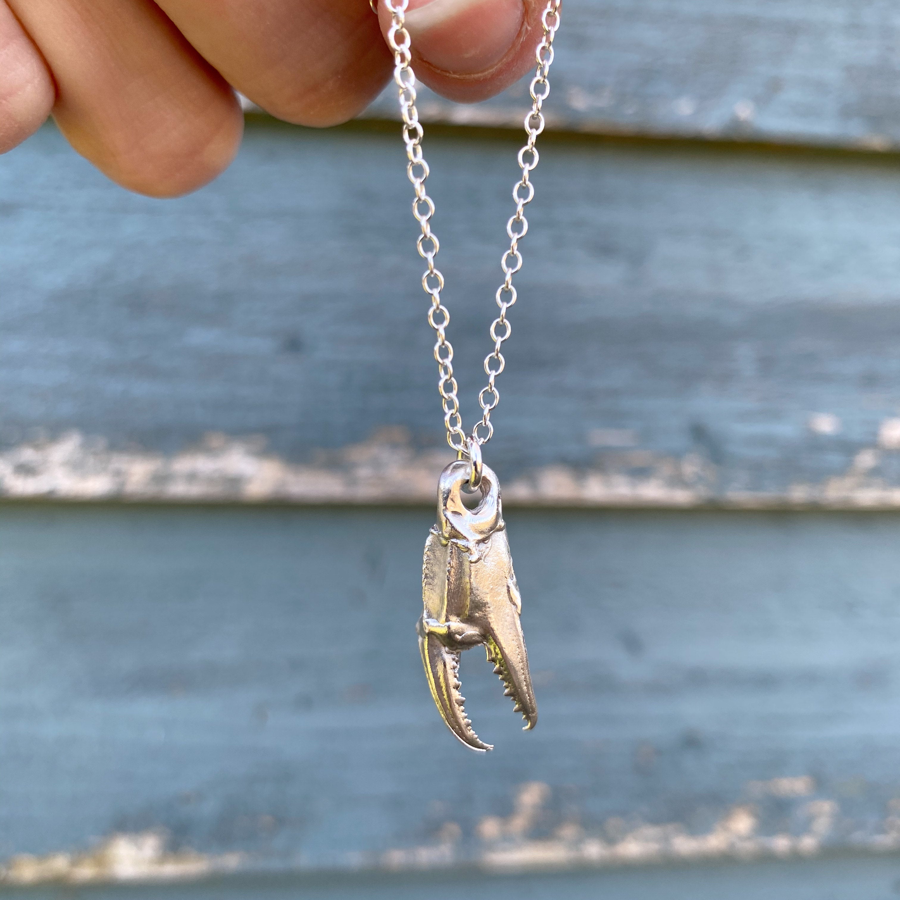 Stone Crab Claw Jewelry...Pendants, Necklaces, Ear Rings, Key Chains -  jewelry - by owner - sale - craigslist