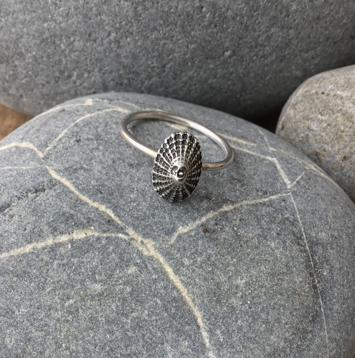 Sterling Silver Limpet Shell Ring