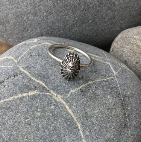Sterling Silver Limpet Shell Ring