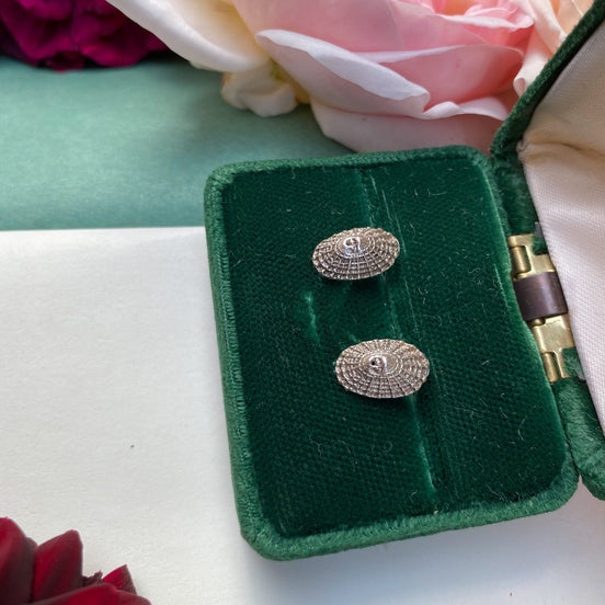Limpet Shell Stud Earrings