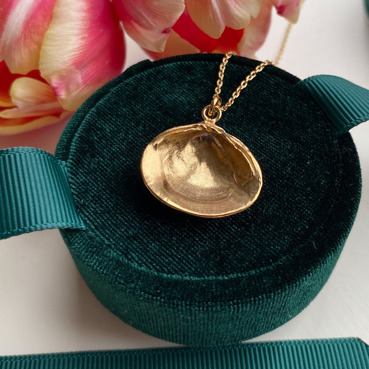 Venus Shell Necklace